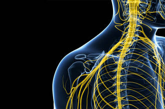 Nouveautés dans le traitement de la sclérose en plaques: promesses et risques