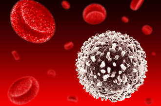 Contre le mélanome, des globules blancs dopés