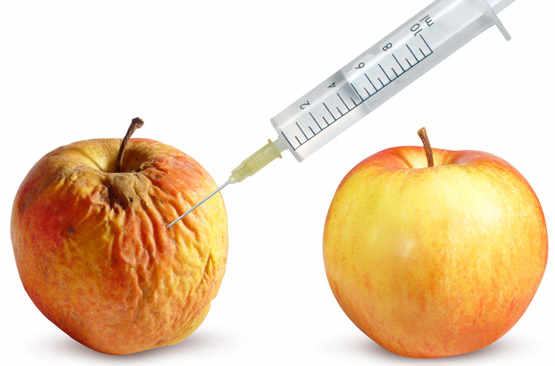 Pomme fripée/pomme après traitement