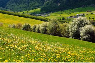 Trouver un médecin de campagne, la croix et la bannière