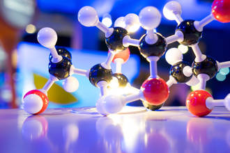 Modifier le génome, un jeu d’enfant