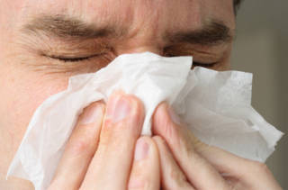 Le «common cold», une obsession anglo-saxonne