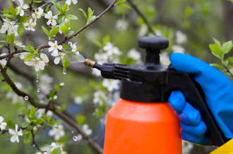 Pesticides au jardin, «le flou total»