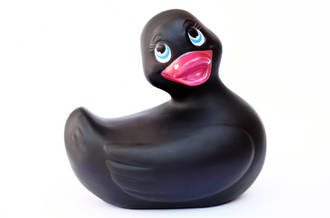 Canard noir