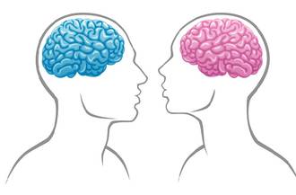 Cerveaux_masculin_feminin