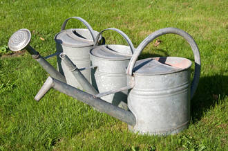 Gonorrhée: le défi lancé aux antibiotiques par la bactérie