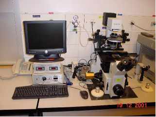 images d'une installation pour ICSI (microscope + micromanipulateurs)