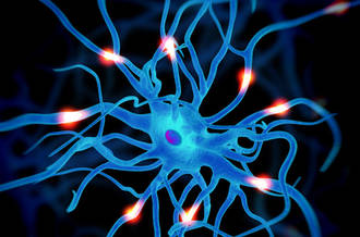 Sclérose en plaques