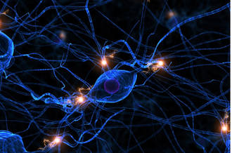 Schizophrénie: tout (ou presque) se joue avant 20 ans
