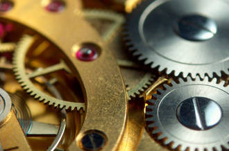 Les reins, précis comme un mécanisme d’horlogerie