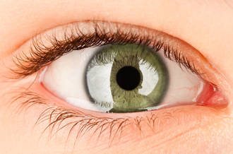 L’implant bionique redonne un peu de vue aux aveugles