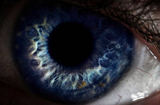 Indispensable cornée