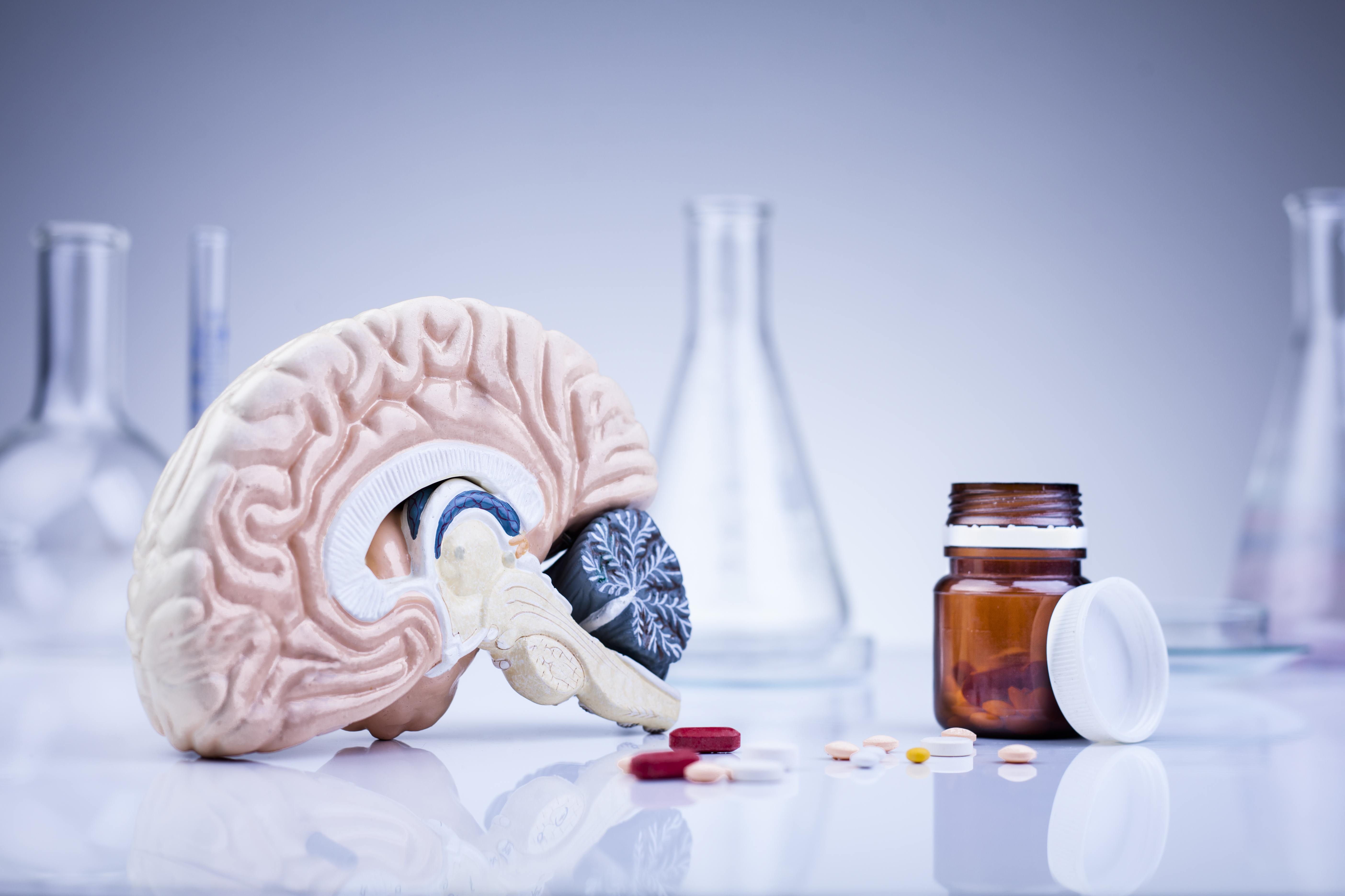 Les Drogues Et Leurs Effets Sur Le Cerveau Drogues, Le Cerveau Et Les