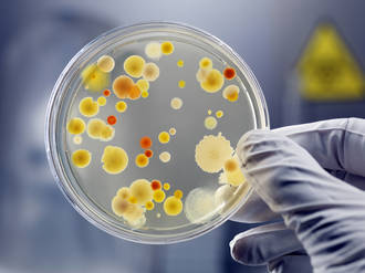 bacteries_resistantes_antibiotiques_tuent_Suisse
