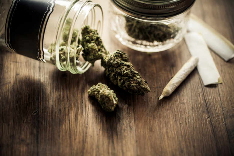 cannabis_therapeutique