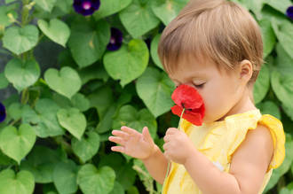 comment_pourquoi_bebes_odeurs