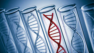 decouverte_quadruplexes