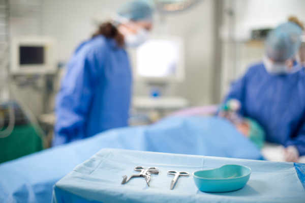 Don d'organe de son vivant