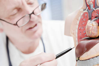 foie_grossit_moitié_journée