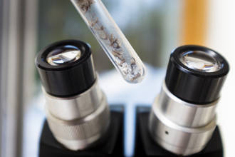 moustiques_resistent_chercheurs