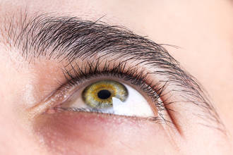 nouveau_greffe_cornee