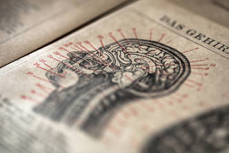 vaccin_leuco_encephalo