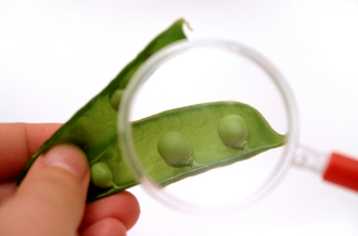 Walter Wahli: «La nutrition a une influence capitale sur nos gènes»