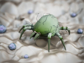 acariens_compagnons_quotidien