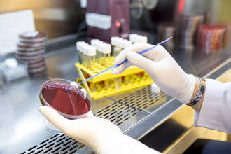 antivitamines_alternative_antibiotiques