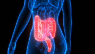 appel_dons_tranplantation_fecale