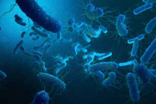bacteries_boostees_antibiotiques