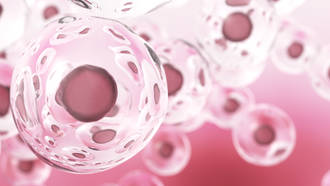 cellules_souches_sauvent