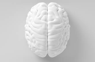 cerveau_glie_rebat_cartes