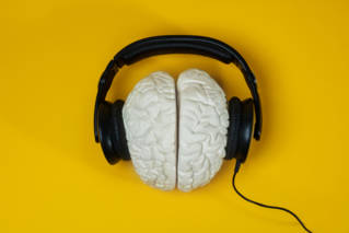 cerveau_musique_influence