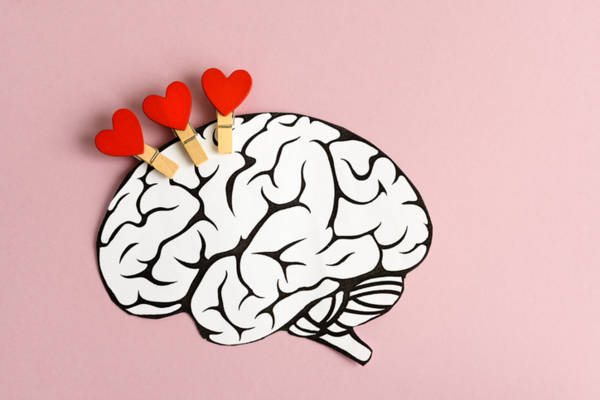 cerveau_sexe_amour