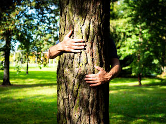 chanter_arbres_faire_bien