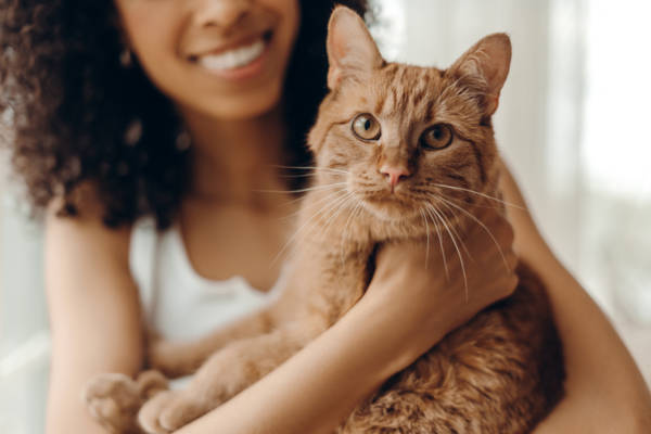 chat_toxoplasmose_schizophrenie