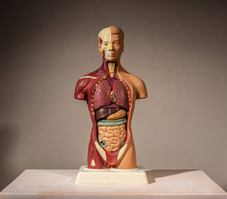 corps_entier_reprogramme_influence_temperature