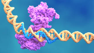 crispr_cas_ciseau_moleculaire_detruirait_portions_du_genome