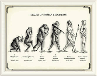 decouverte_lucy_50_ans_sur_notre_evolution