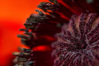 decouverte_moteur_addiction