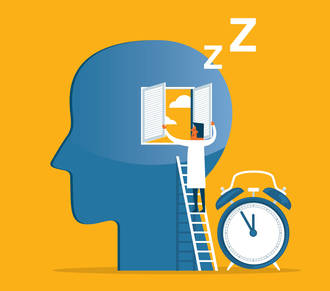 decouverte_nouvelle_horloge_dans_cerveau_pour_structurer_sommeil