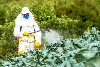 effets_pesticides_sante