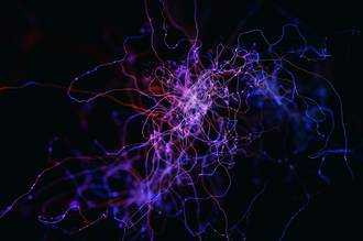 epilepsie_dix_questions