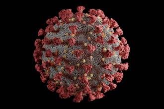folle_histoire_des_virus