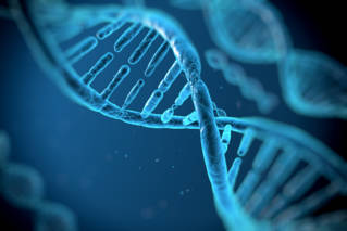 genome_raconte_vivant