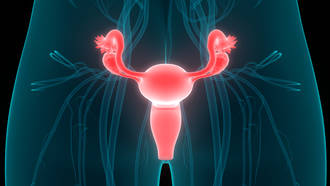 greffes_uterus_revolution_reproduction
