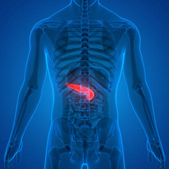 greffons_soigner_diabete