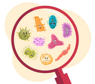 histoire_diabolique_parasites