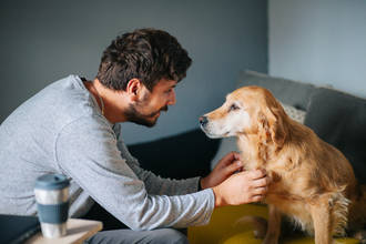 humains_adaptent_rythme_parole_pour_communiquer_avec_chiens